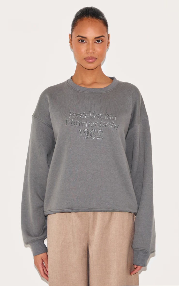 Grey Embroidered Boxy Sweatshirt