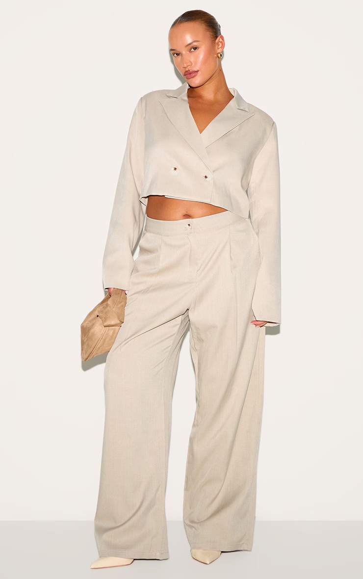 Plus Light Grey Tailored Woven Wide Leg Trousers 4 Plus Light Grey Tailored Woven Wide Leg Trousers