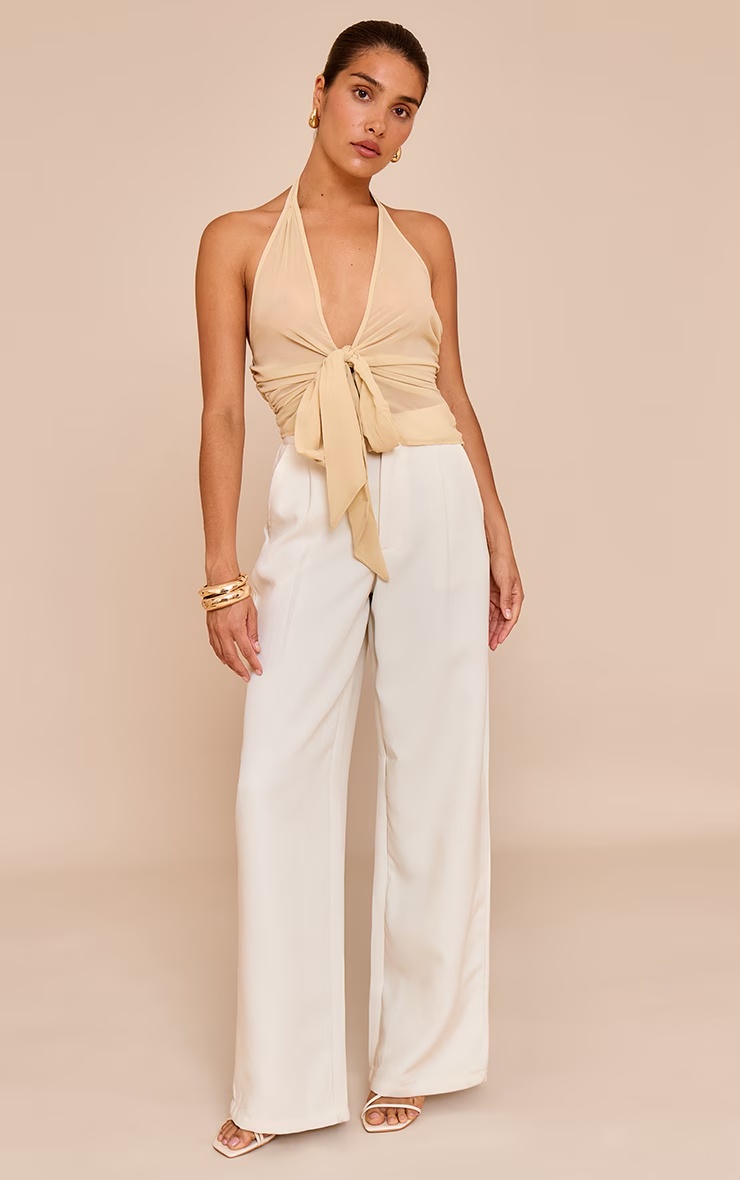Petite Almond Sheer V Neck Drape Detail Top 3 Petite Almond Sheer V Neck Drape Detail Top