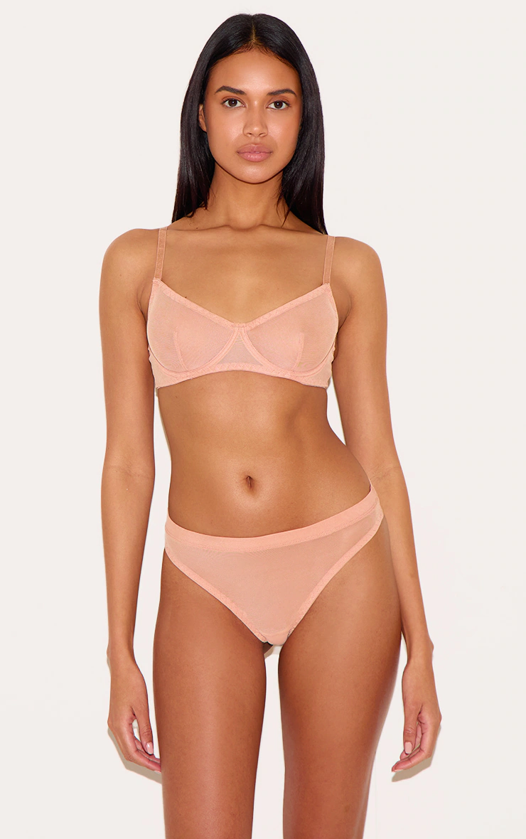 Nude Mesh Brief 4 Nude Mesh Brief