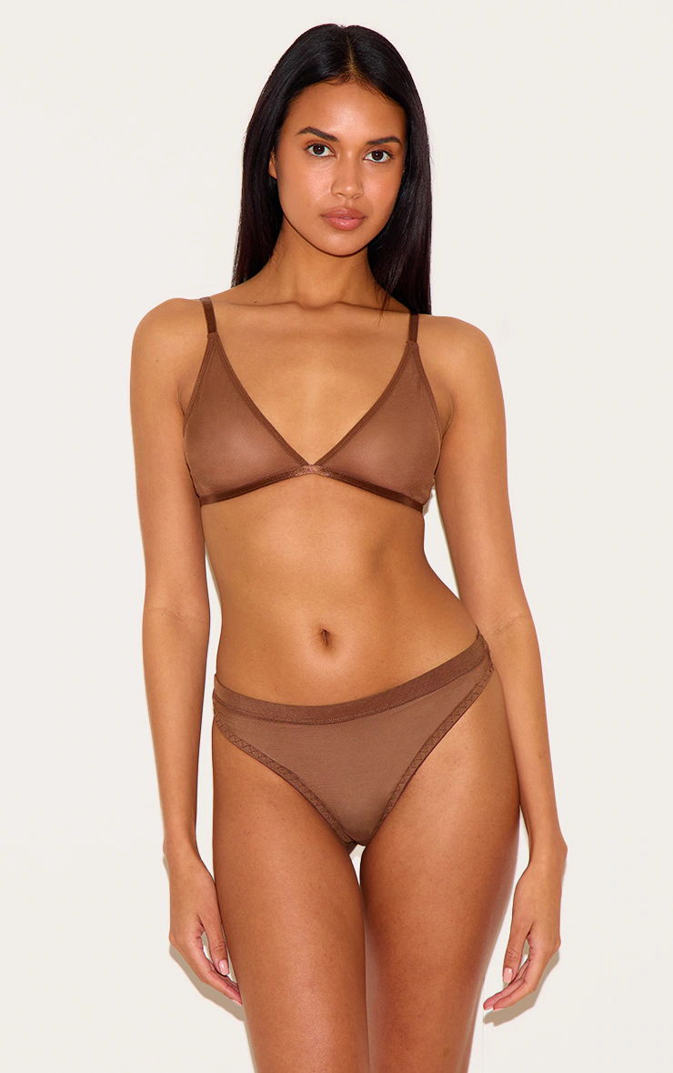 Chocolate Mesh Briefs 1 Chocolate Mesh Briefs