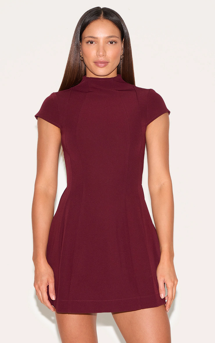 Tall Wine High Neck Cinched Mini Dress 4 Tall Wine High Neck Cinched Mini Dress
